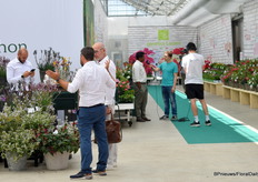 Veel aandacht voor de planten.